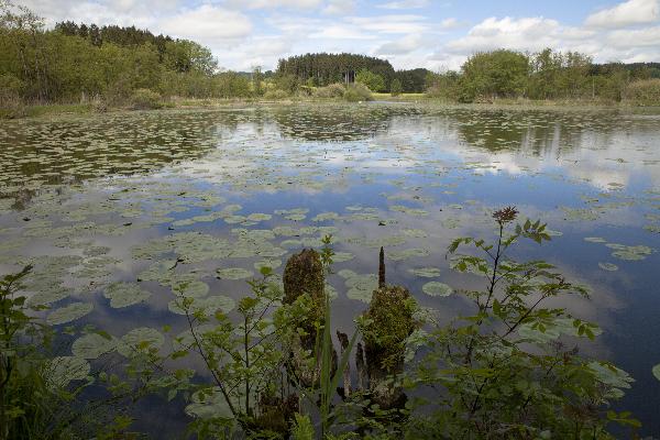 Herzogenweiher