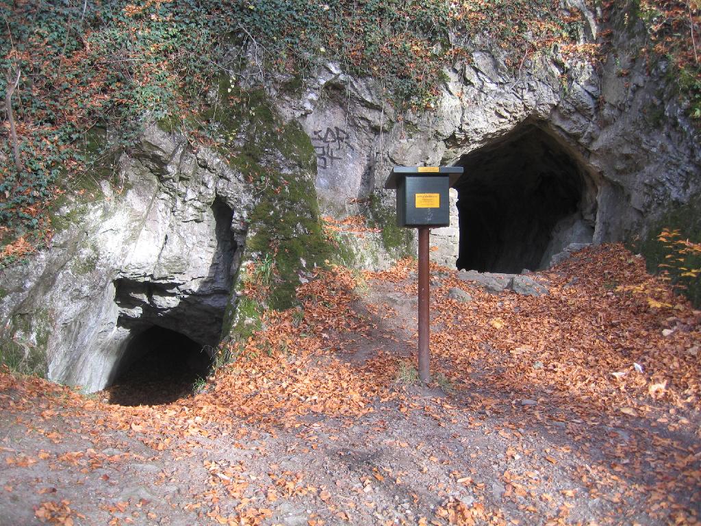 Kloster Höhle Volkmarskeller (Klostergrund)