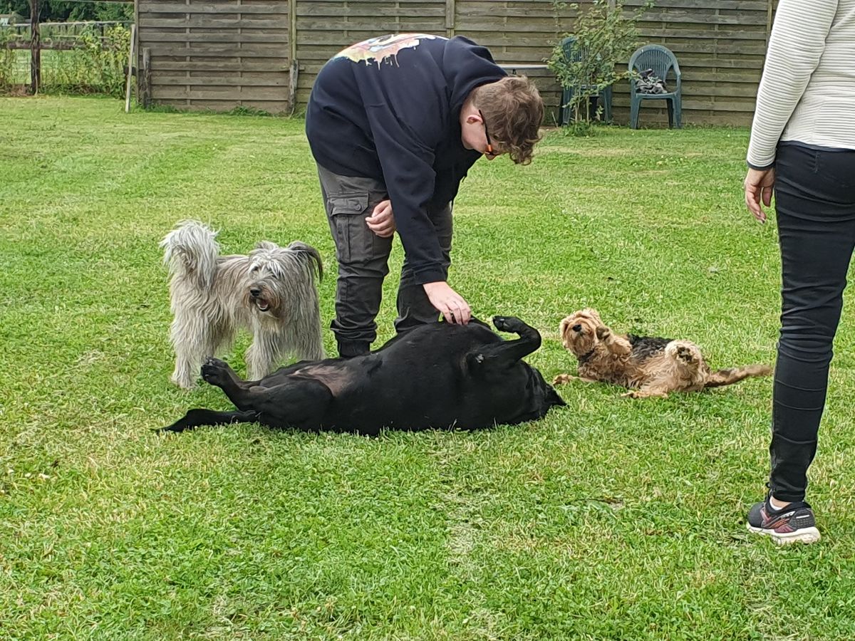 Hundewiese Vogel in Elsdorf