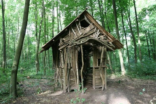 Internationaler Waldkunstpfad