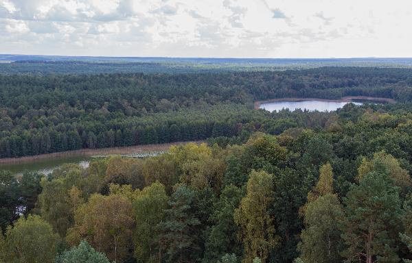 Käflingsbergturm