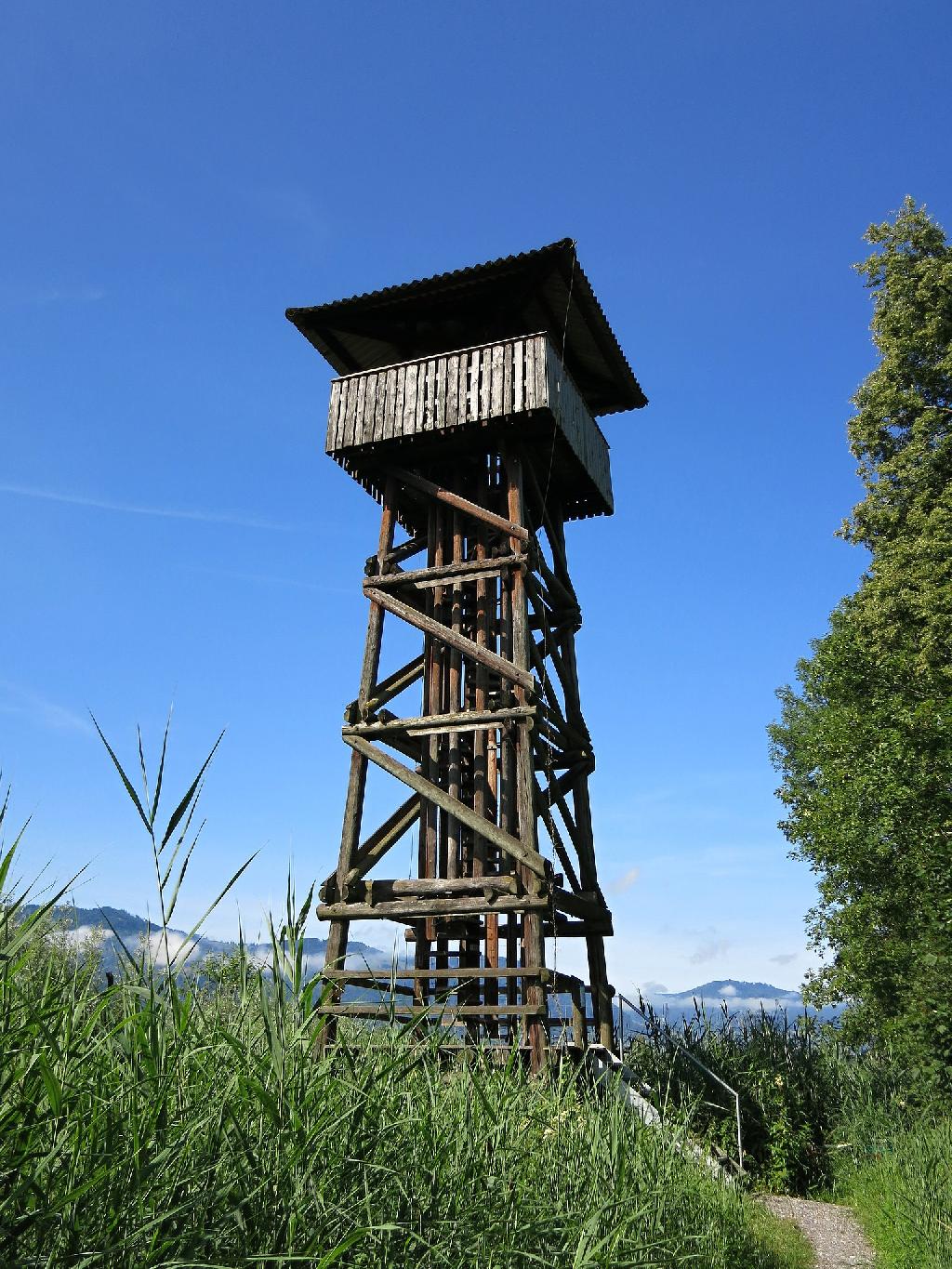 Kaltbrunner Ried Turm (gross)