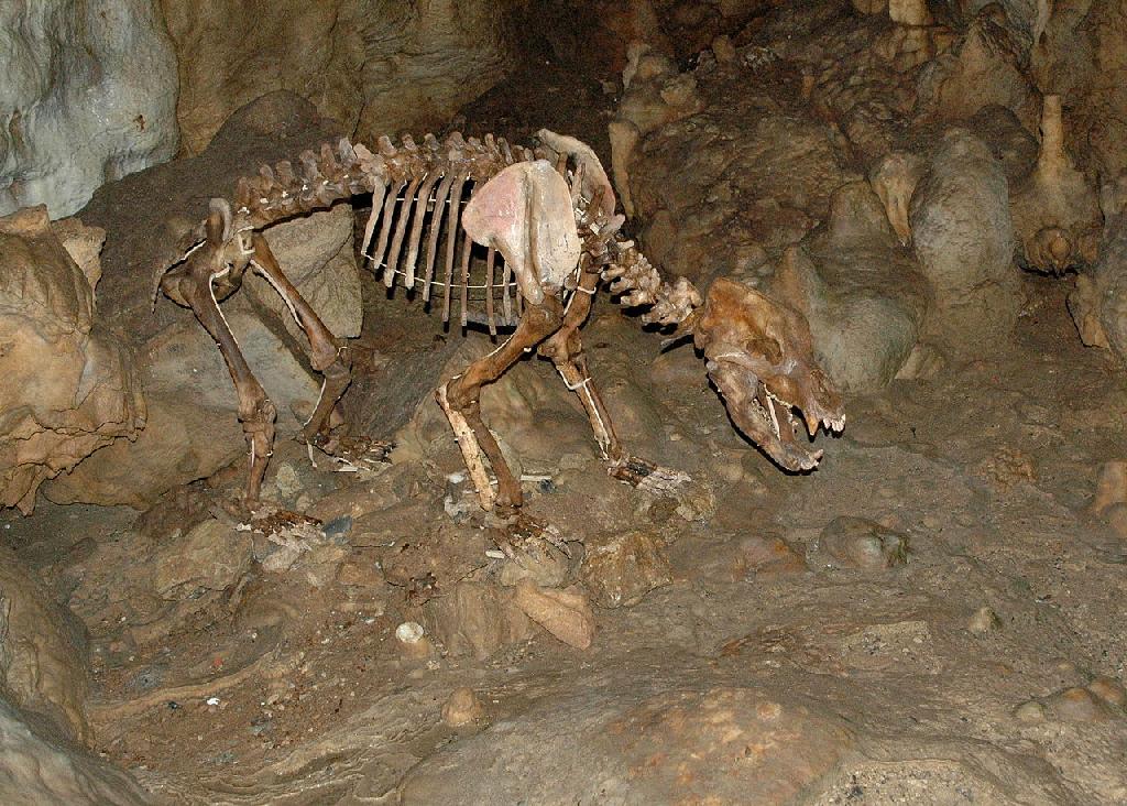 Karlshöhle in Sonnenbühl