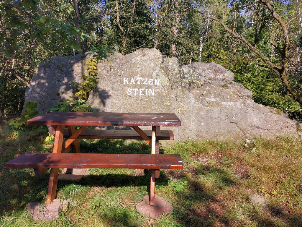 Katzenstein / Findling in Pausa-Mühltroff