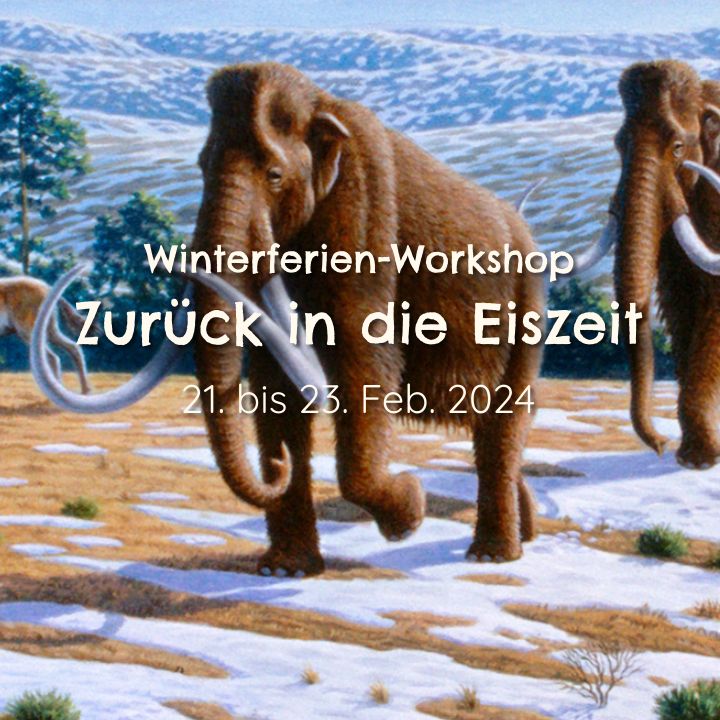 Kinder-Workshop Zurück in die Eiszeit