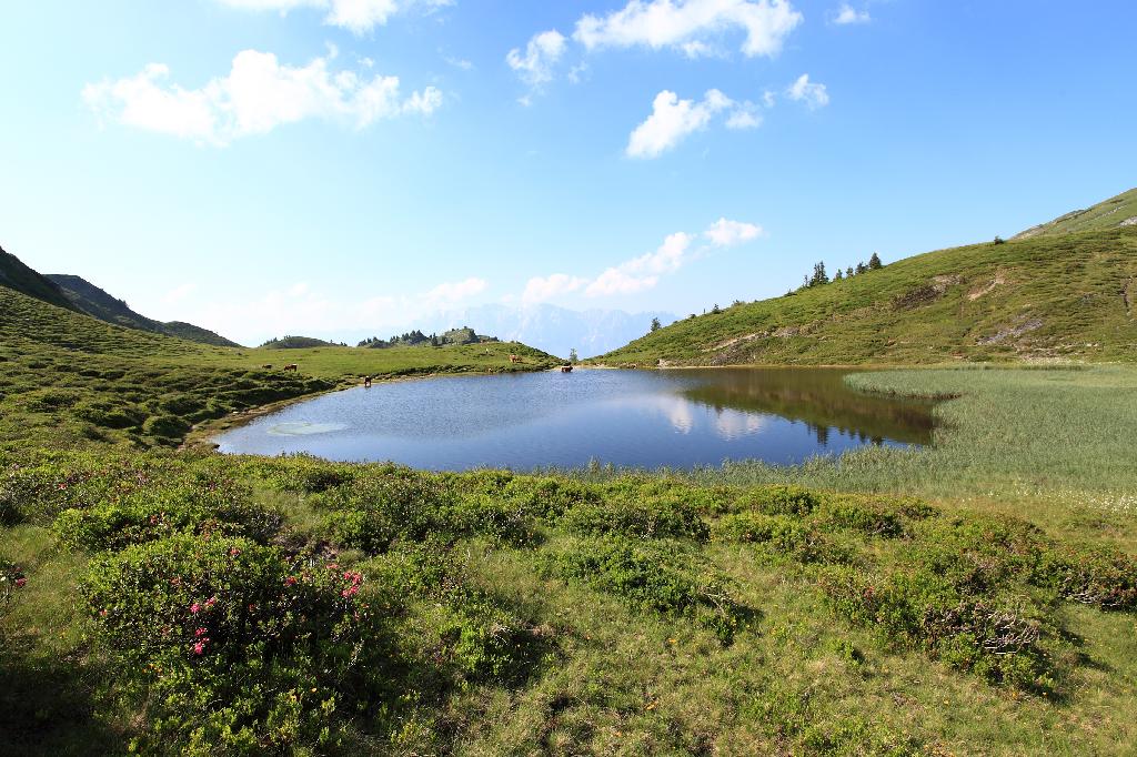 Kleiner Paarsee in Dorfgastein