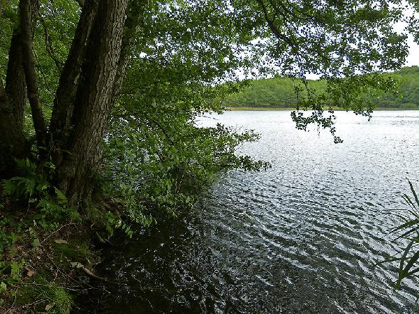 Kleiner Wummsee