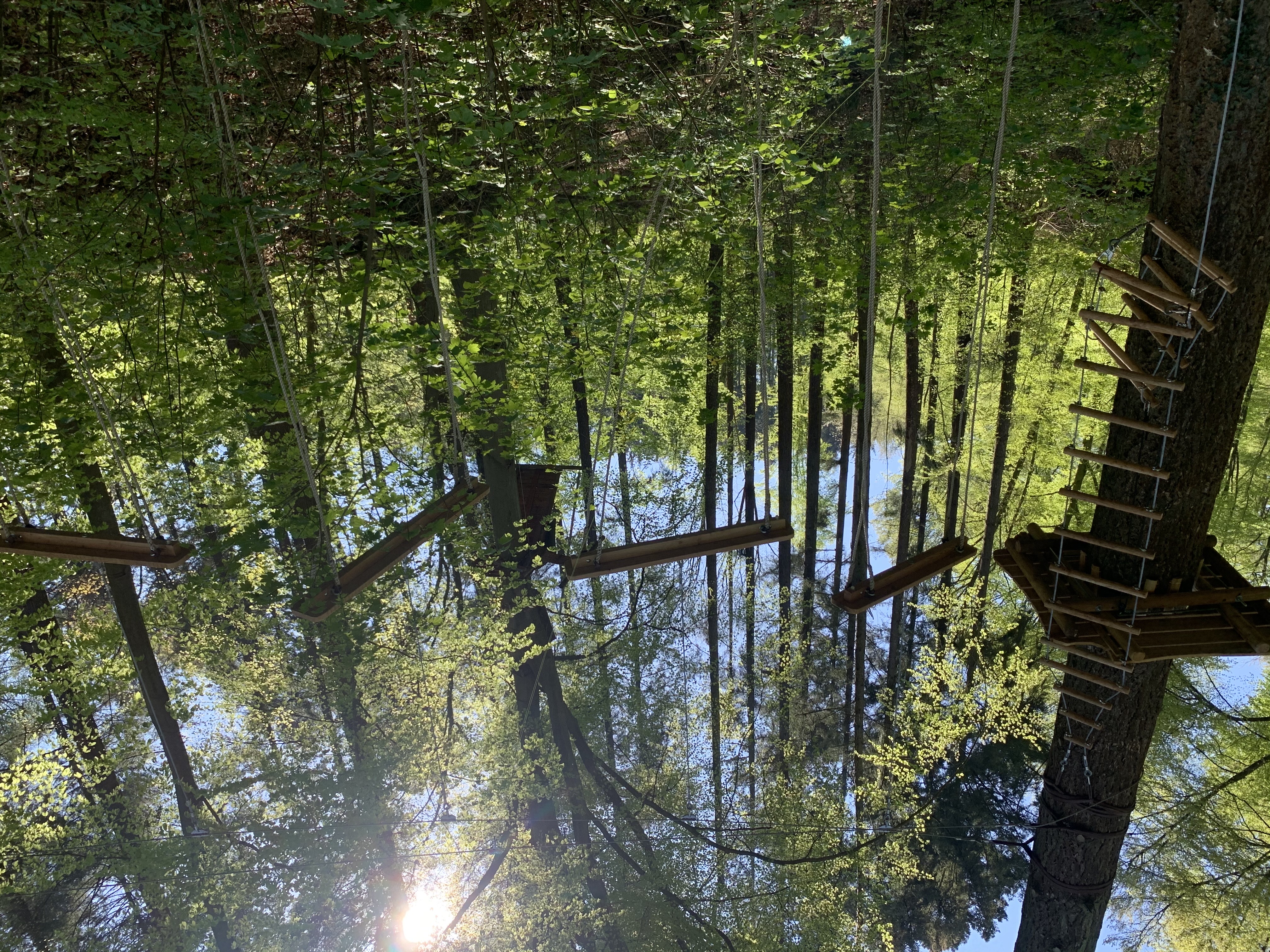 Kletterwald Sayn in Bendorf