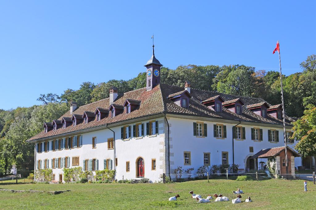 Kloster St. Petersinsel in Erlach