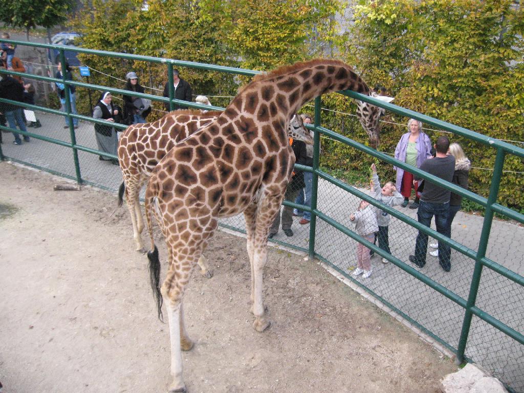 Knies Kinderzoo in Rapperswil SG