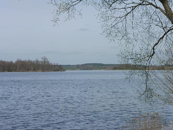 Krakower See