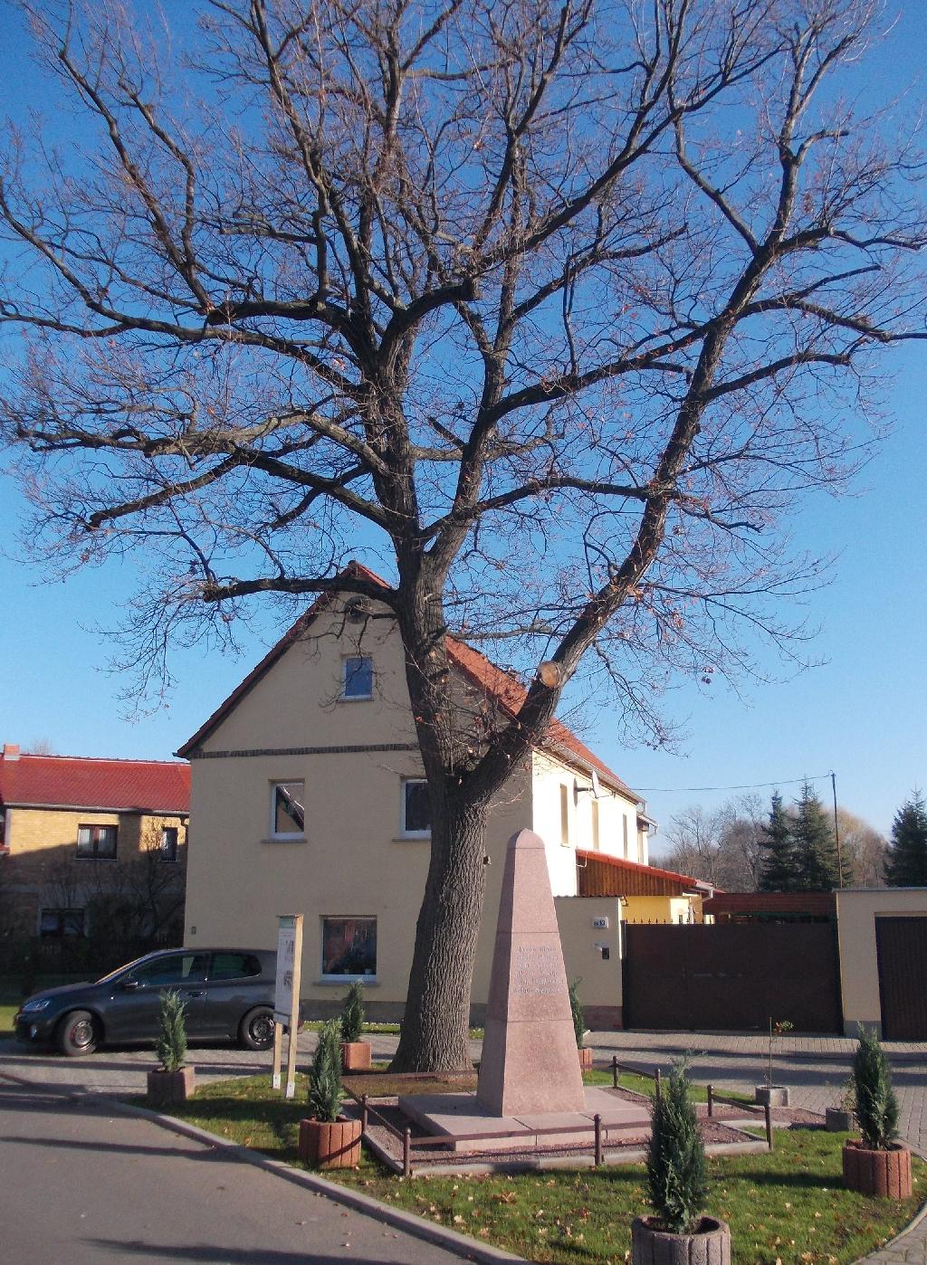 Kriegerdenkmal Reipisch in Braunsbedra