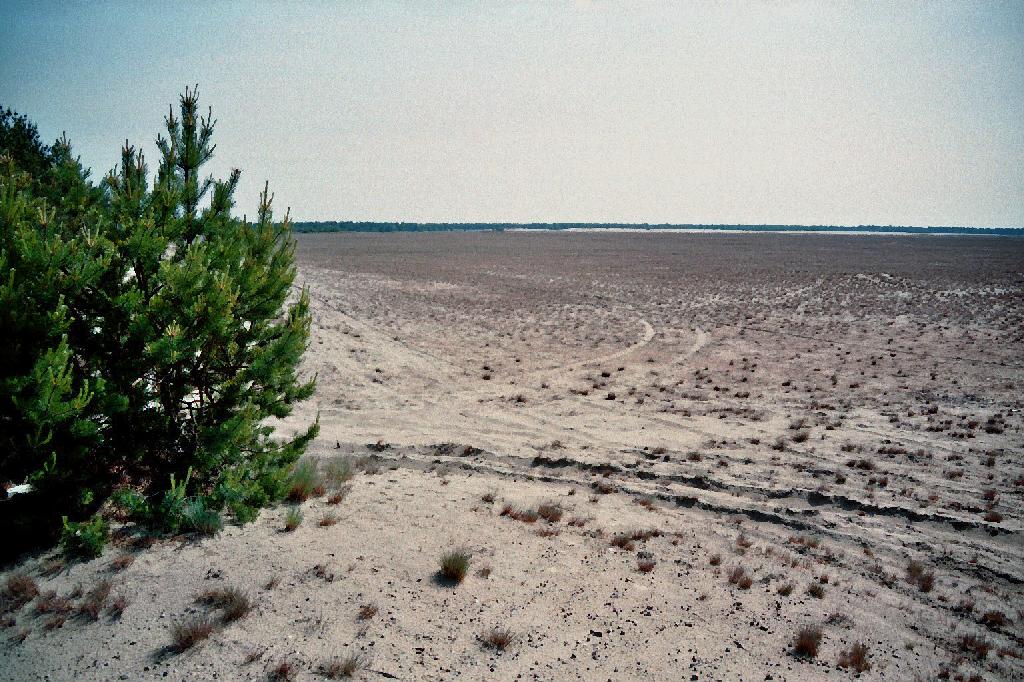 Lieberoser Wüste (Klein Sibirien) in Lieberose
