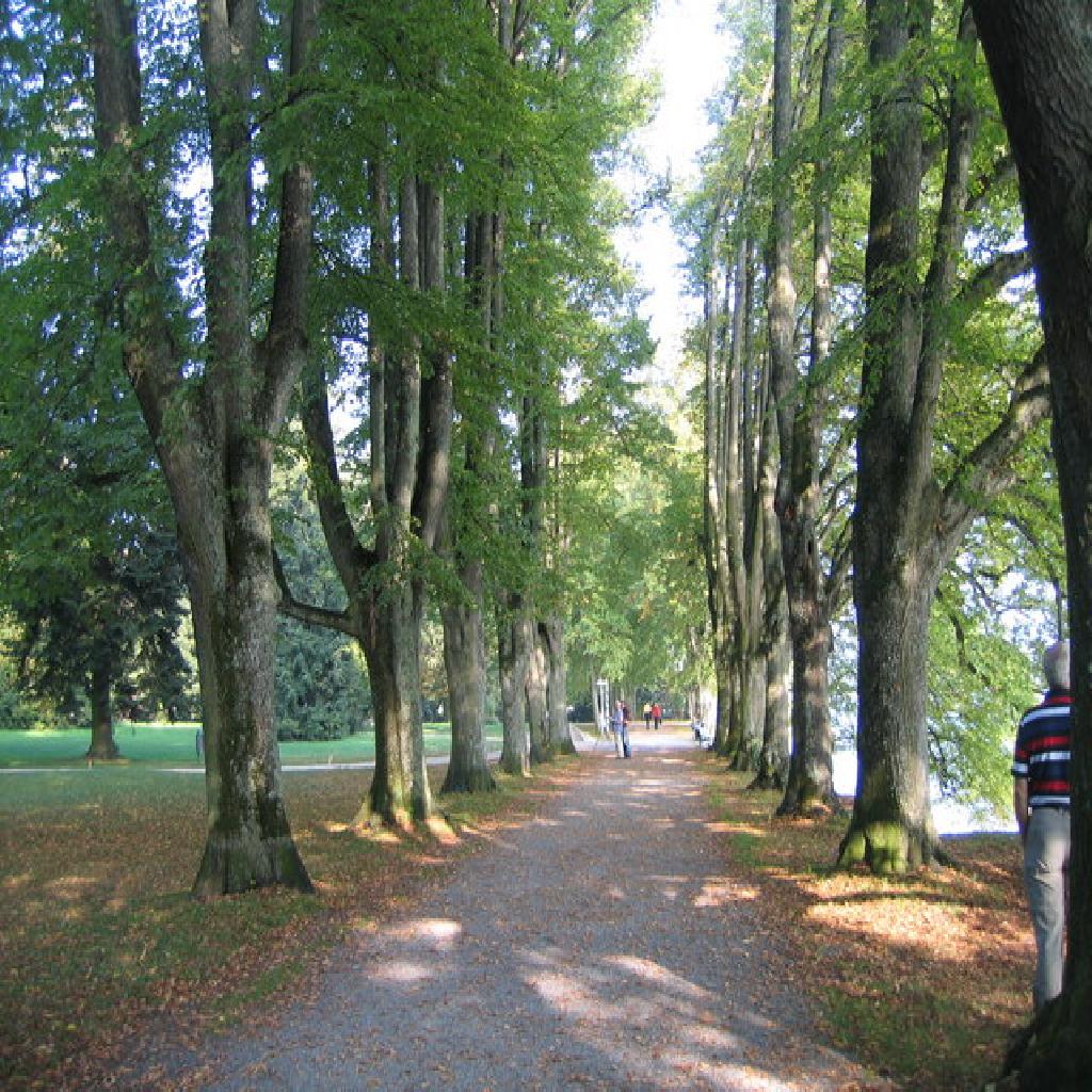 Lindenhofpark