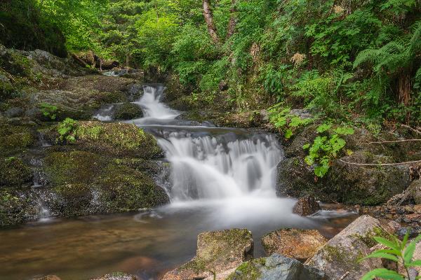 Mittlerer Prägbach Wasserfall in Todtnau