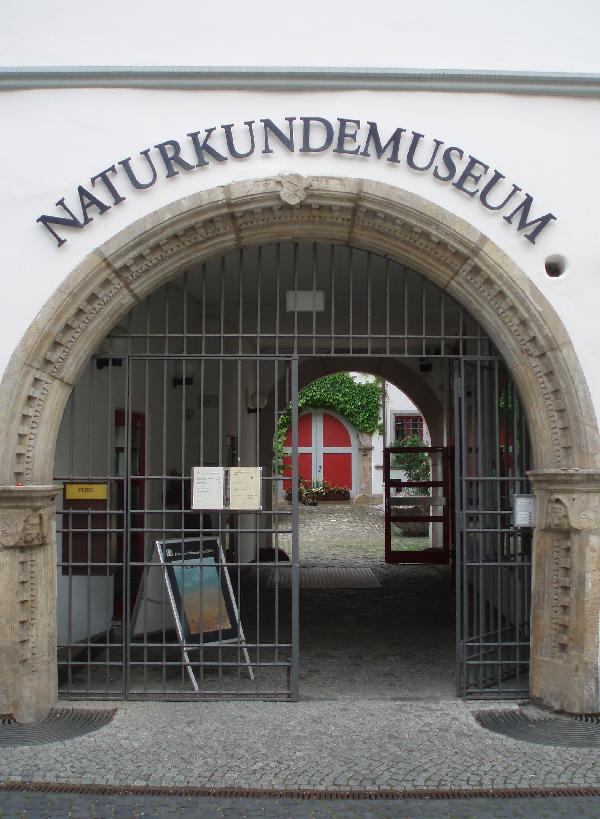 Naturkundemuseum Erfurt in Erfurt