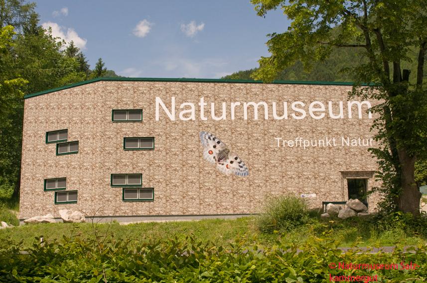 Naturmuseum Salzkammergut in Ebensee