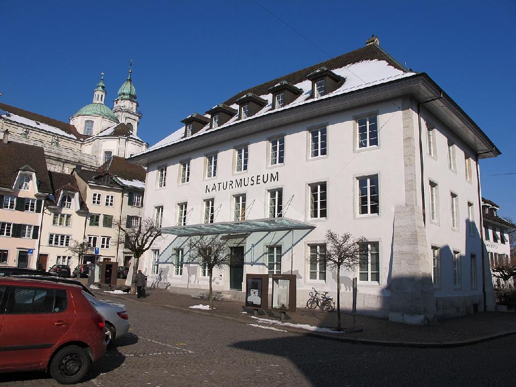 Naturmuseum Solothurn in Solothurn