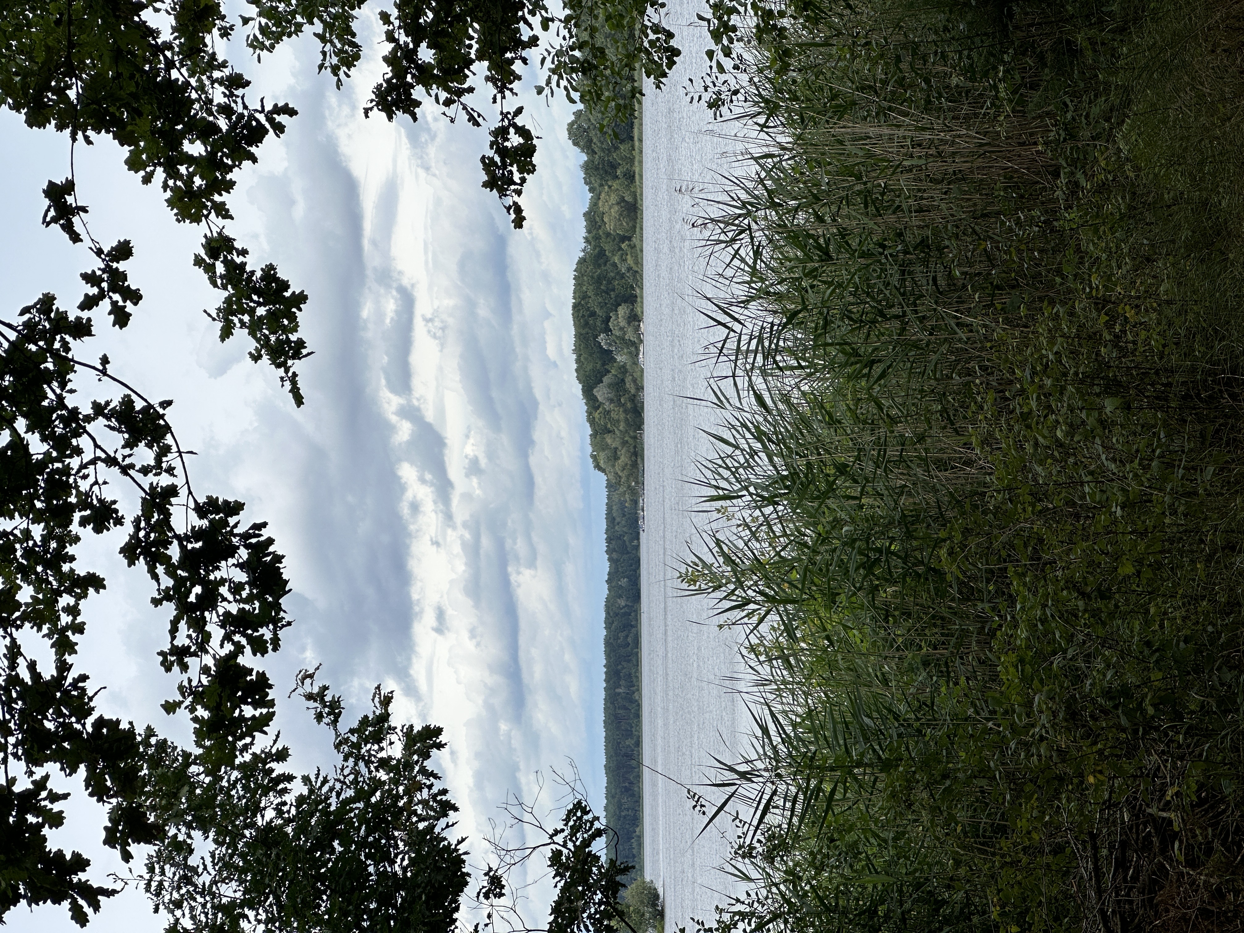 Neuendorfer See in Märkische Heide