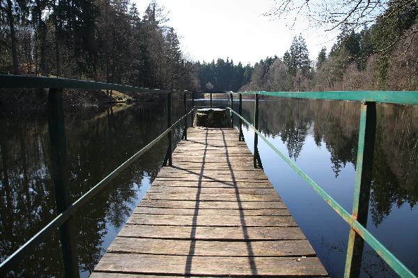 Neuer Teich in Uslar