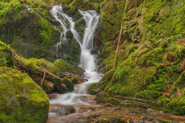 Obere Buselbach Wasserfälle