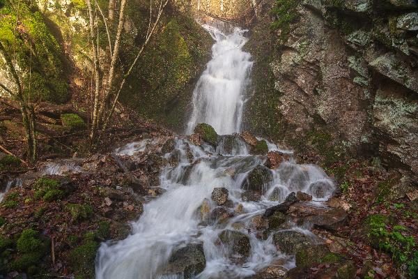 Oberer Wannenbach Wasserfall in Ühlingen-Birkendorf