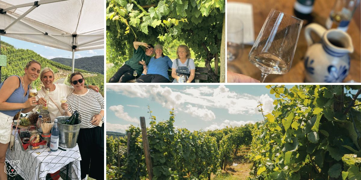 Öffentliche Weinwanderung in Winningen  in Winningen