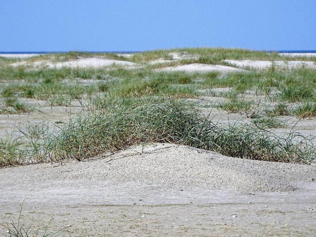 Oststrand Spiekeroog