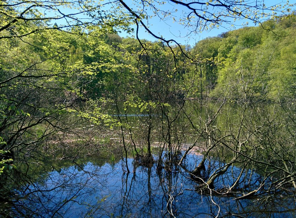 Paddenpfuhl in Oderberg