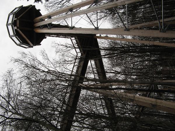 Panarbora-Turm in Waldbröl