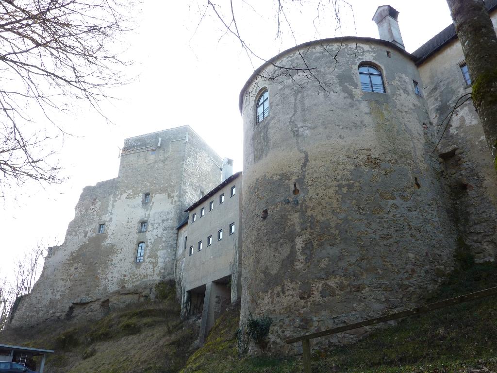 Panoramablick Burg Kreuzen in Bad Kreuzen