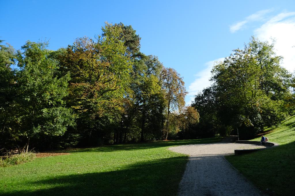 Parc Bernasconi