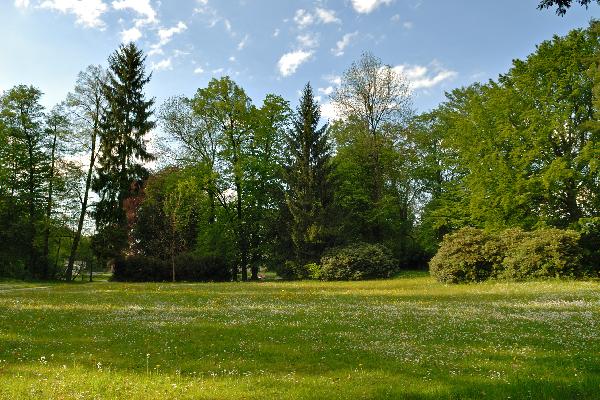 Park Alte Baumwolle in Flöha