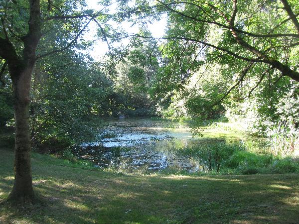 Park am Fröscheteich