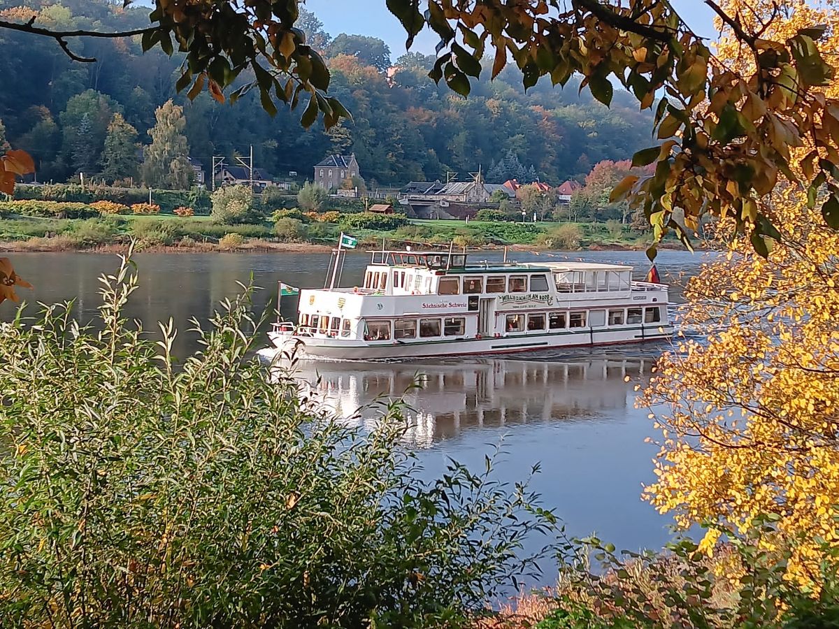 Personenschiffahrt Oberelbe in Pirna