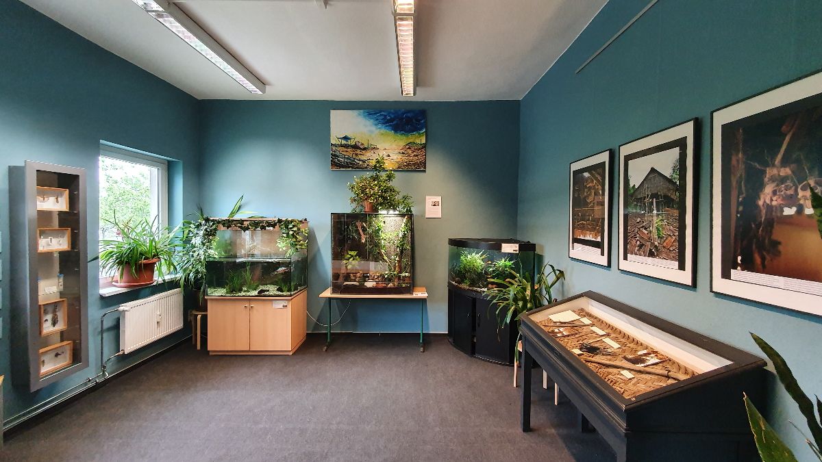 Phyllodrom Regenwaldmuseum Leipzig in Leipzig