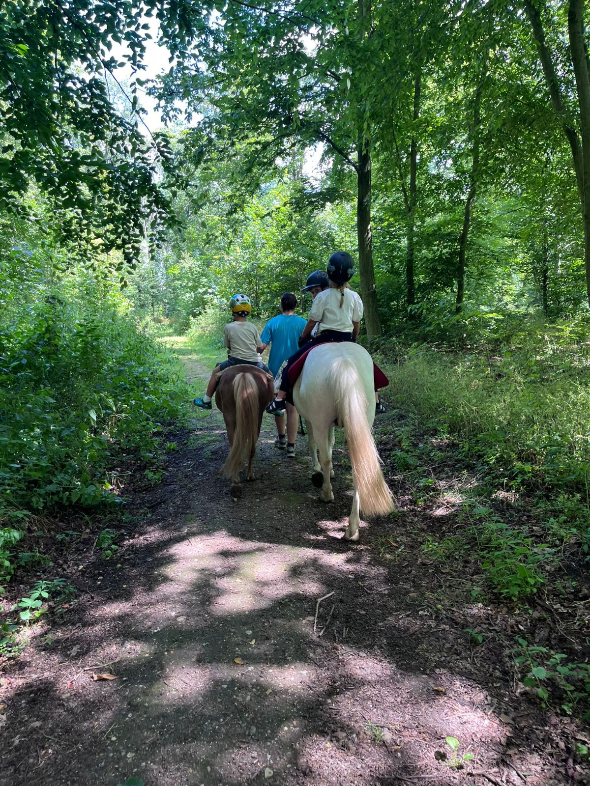 Ponyreiten, einzeln oder für Gruppen 