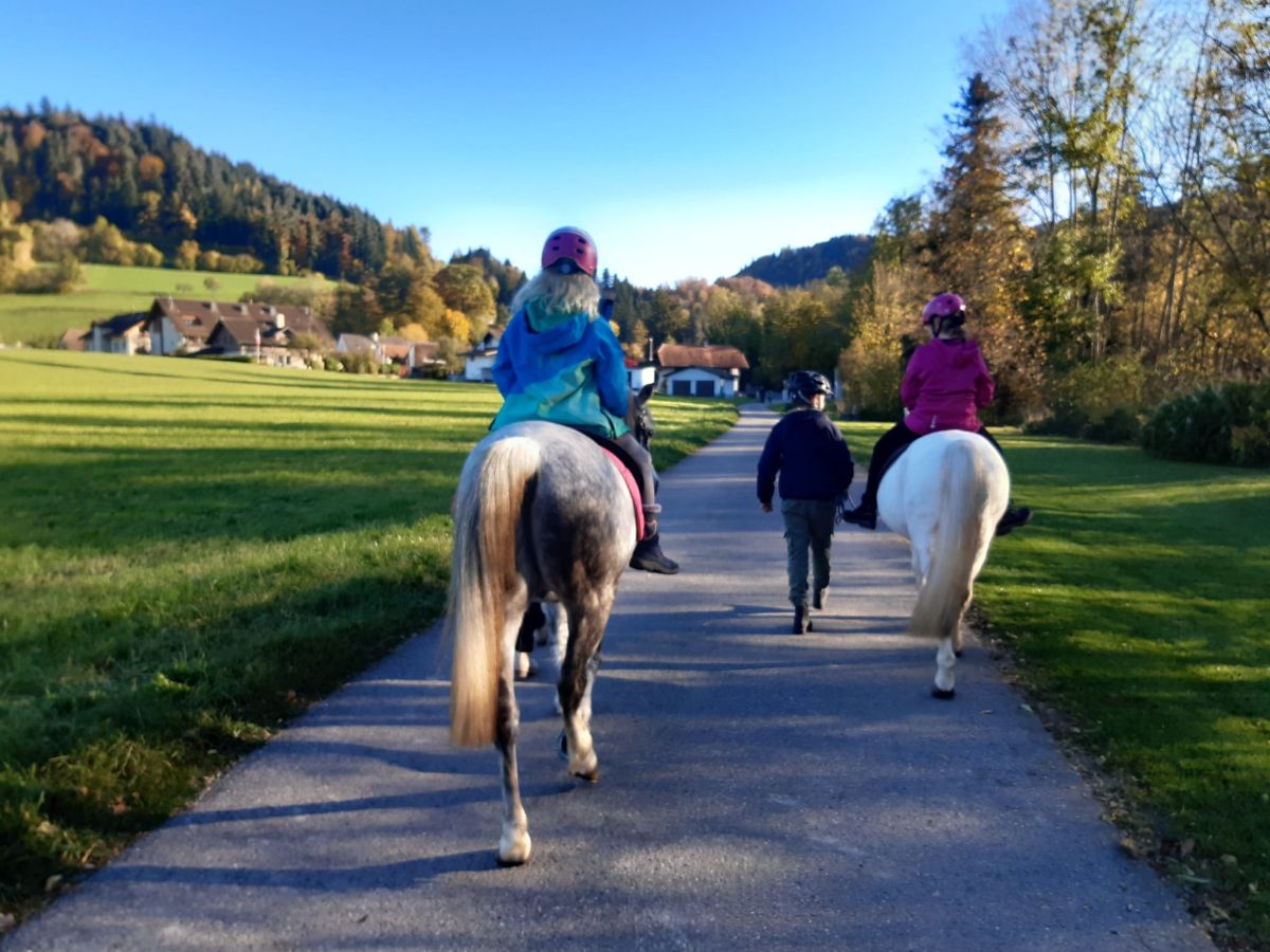 Ponyreiten in Heimberg