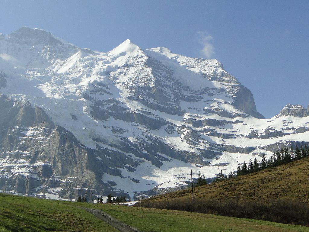 Rodelhang Eigergletscher XI in Eigergletscher