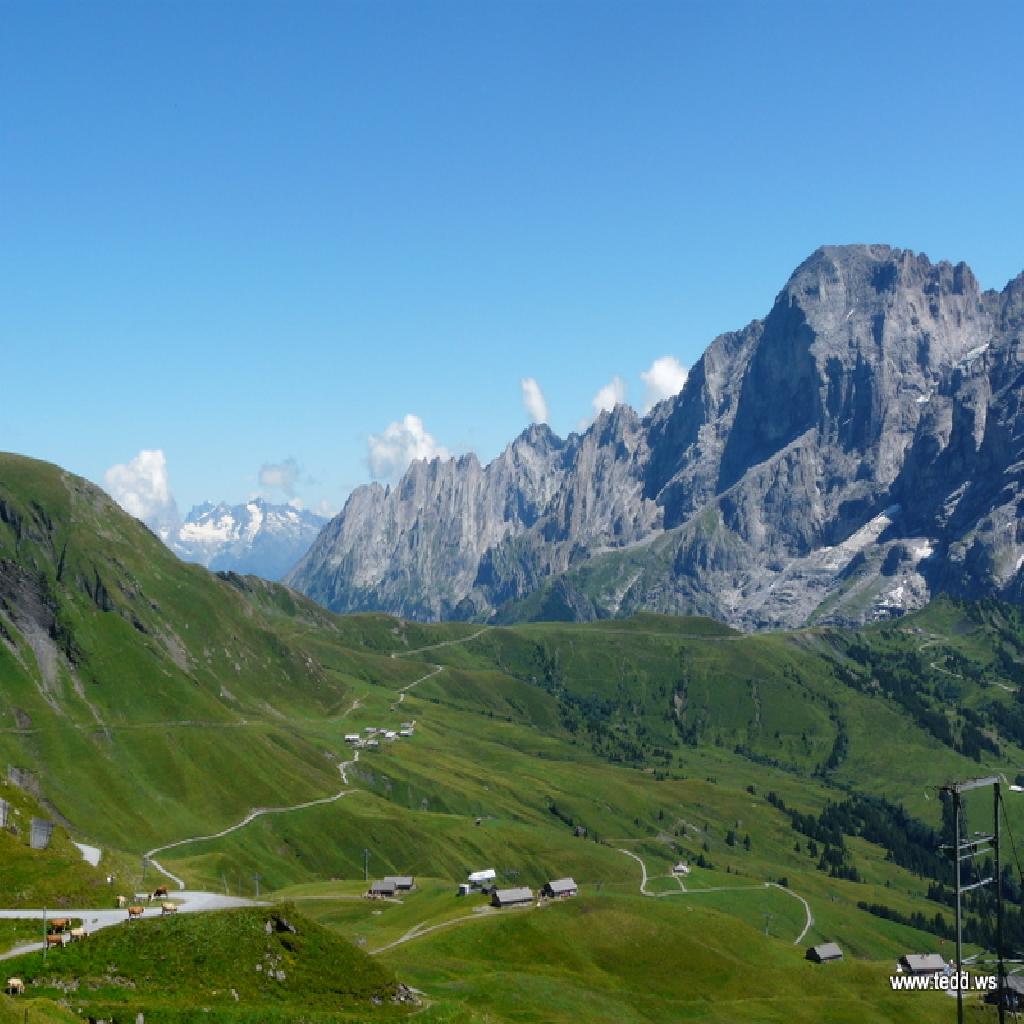 Rodelhang Grindelwald