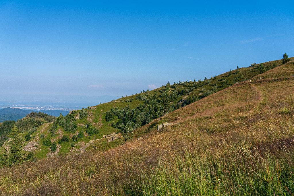 Rodelhang Schönau im Schwarzwald II (Belchen)