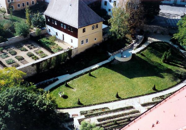 Rosengarten in Torgau