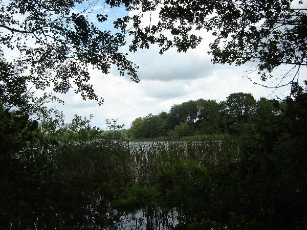 Roßbauersee