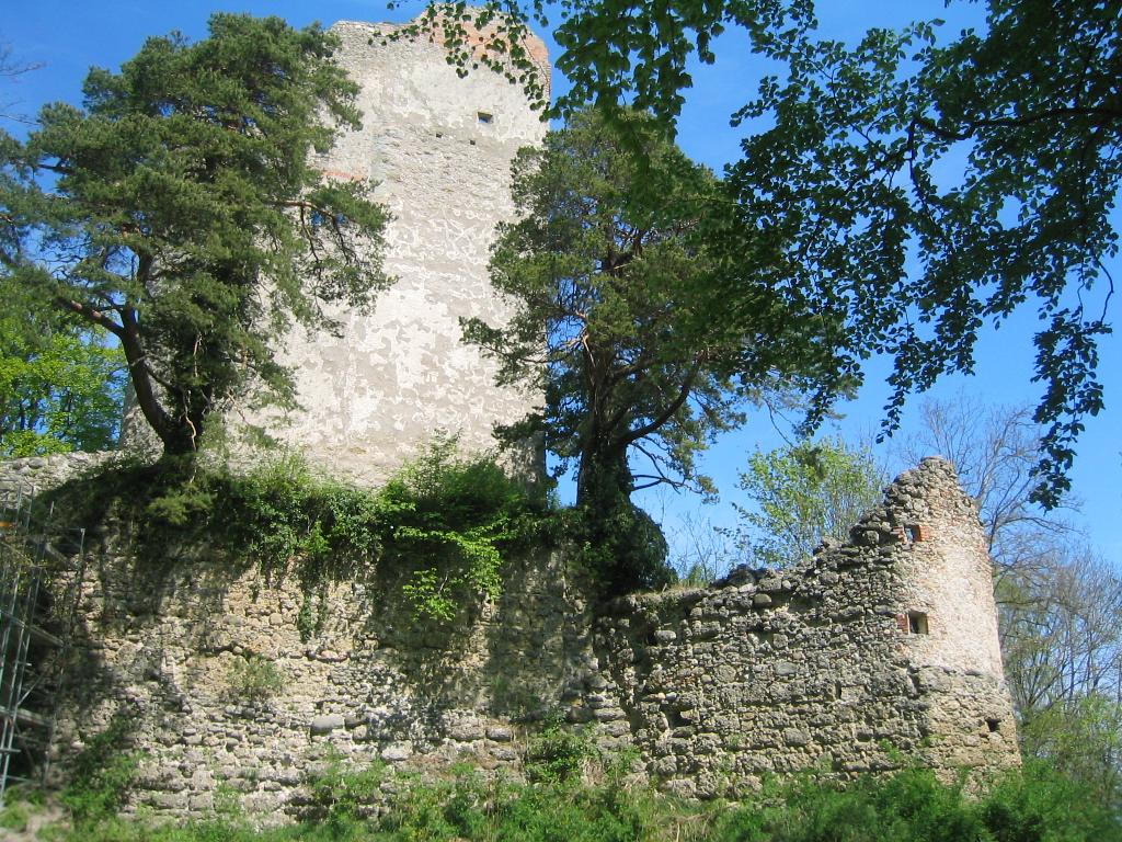Ruine Altbodman in Bodman-Ludwigshafen