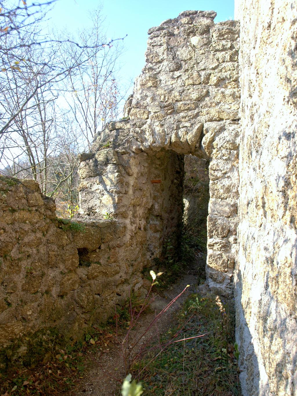 Ruine Freyenstein in Neustadtl an der Donau