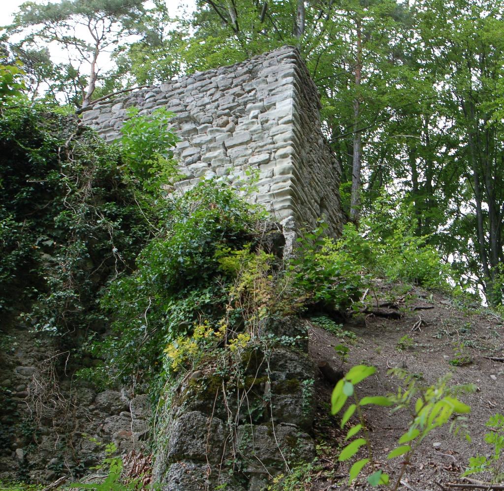 Ruine Hohenfels