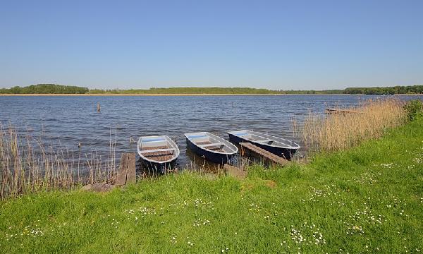 Ruppiner See in Neuruppin