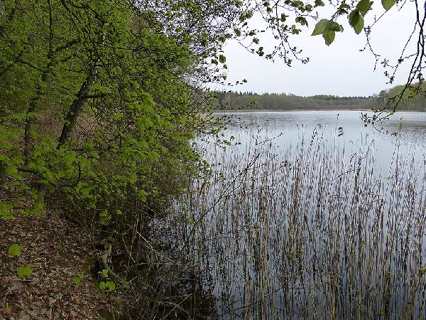 Sabinensee