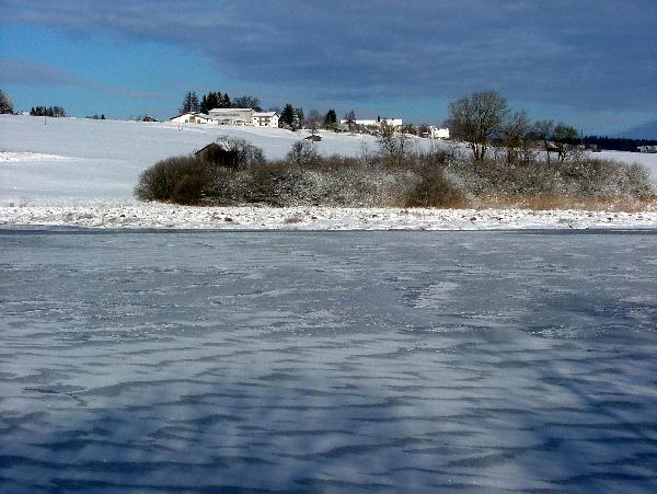 Sachsenrieder Weiher