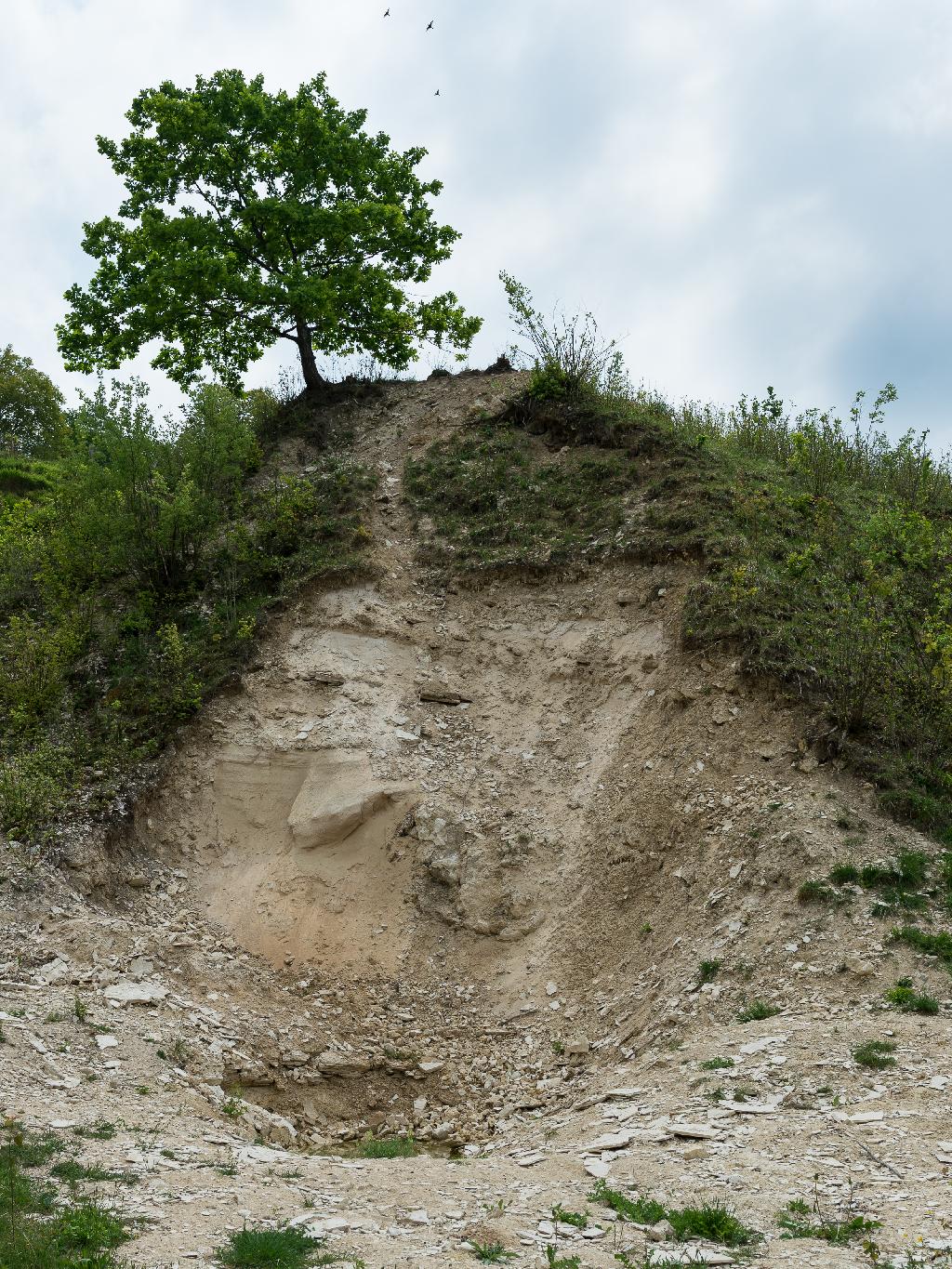 Sandgrube in Steinheim am Albuch